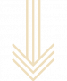 Go to Next Section